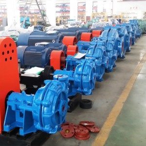 Newly Arrival  Slurry Pump China for Auckland Factory
